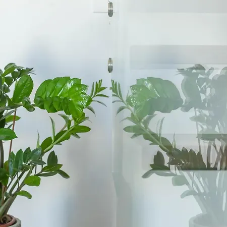 Pensjonat Horizon Rooms&home Torre Lapillo