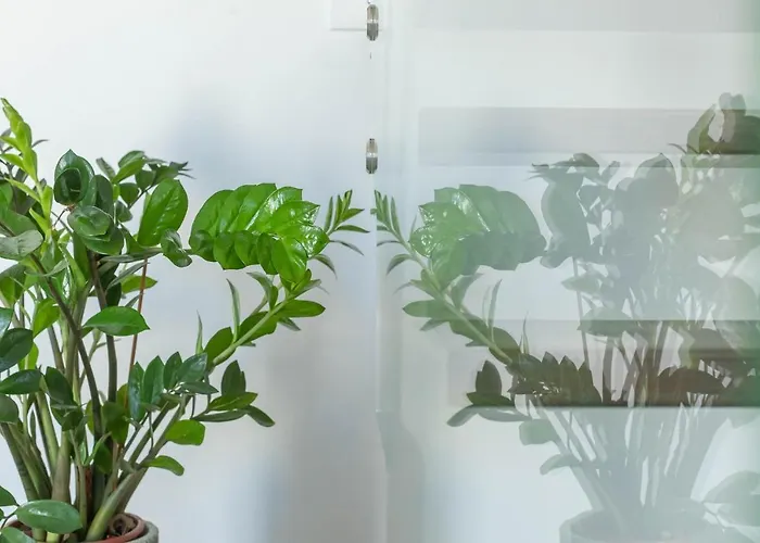 בית הארחה Horizon Rooms&home טורה לפילו